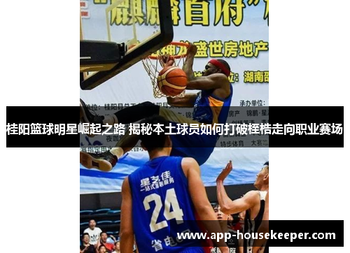 桂阳篮球明星崛起之路 揭秘本土球员如何打破桎梏走向职业赛场