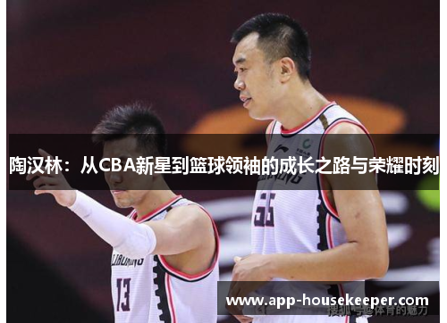 陶汉林：从CBA新星到篮球领袖的成长之路与荣耀时刻