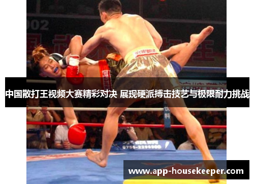 中国散打王视频大赛精彩对决 展现硬派搏击技艺与极限耐力挑战