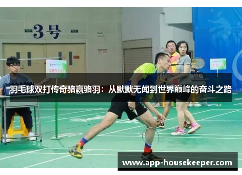 羽毛球双打传奇骆赢骆羽：从默默无闻到世界巅峰的奋斗之路