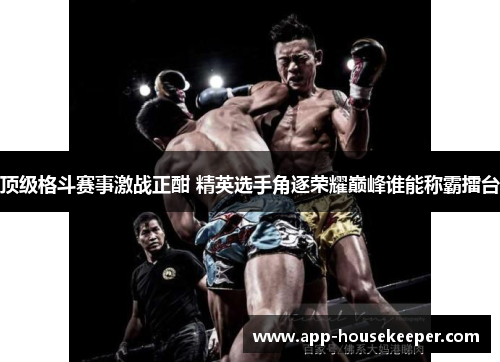 顶级格斗赛事激战正酣 精英选手角逐荣耀巅峰谁能称霸擂台